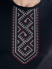 Чоловіча футболка «Подільська» чорна на моделі